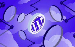 Wordpress Websitesi Nedir?