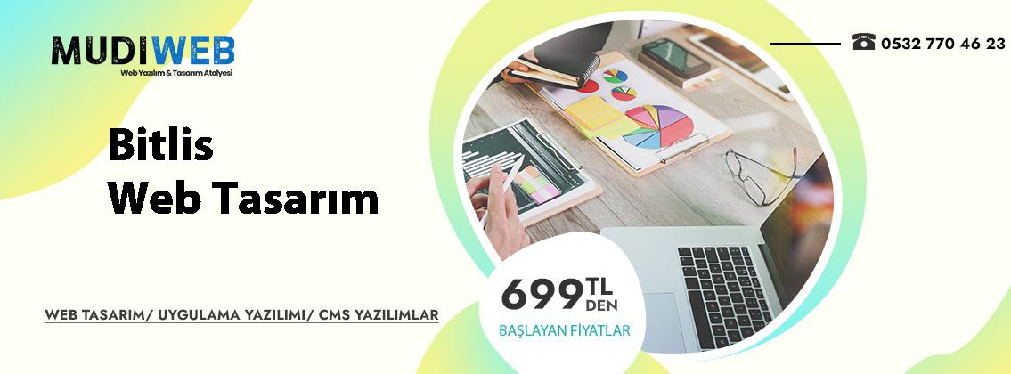 Bitlis  web tasarım fiyatları uygun profesyonel websitesi çözümleri