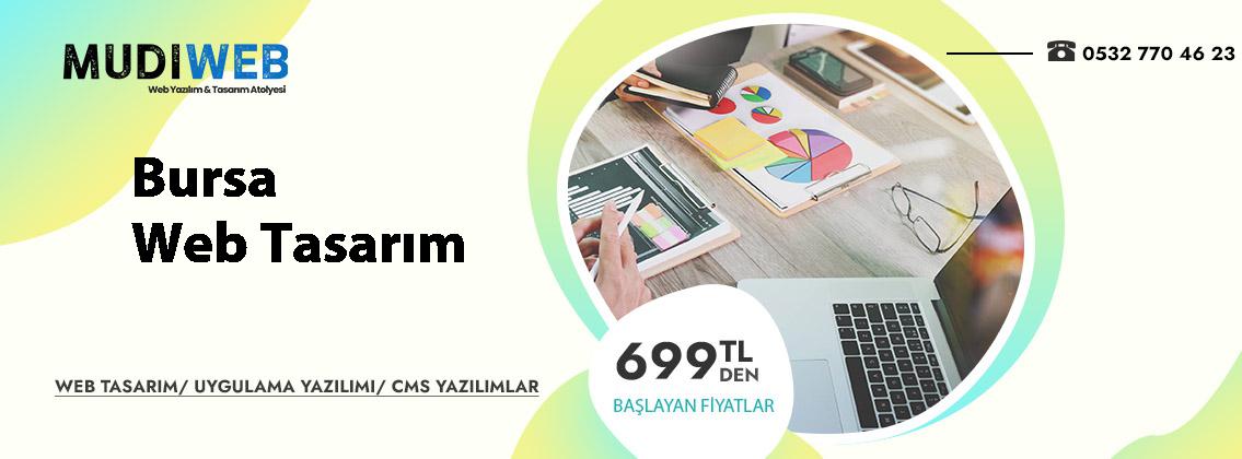 Bursa web tasarım fiyatları uygun profesyonel websitesi çözümleri