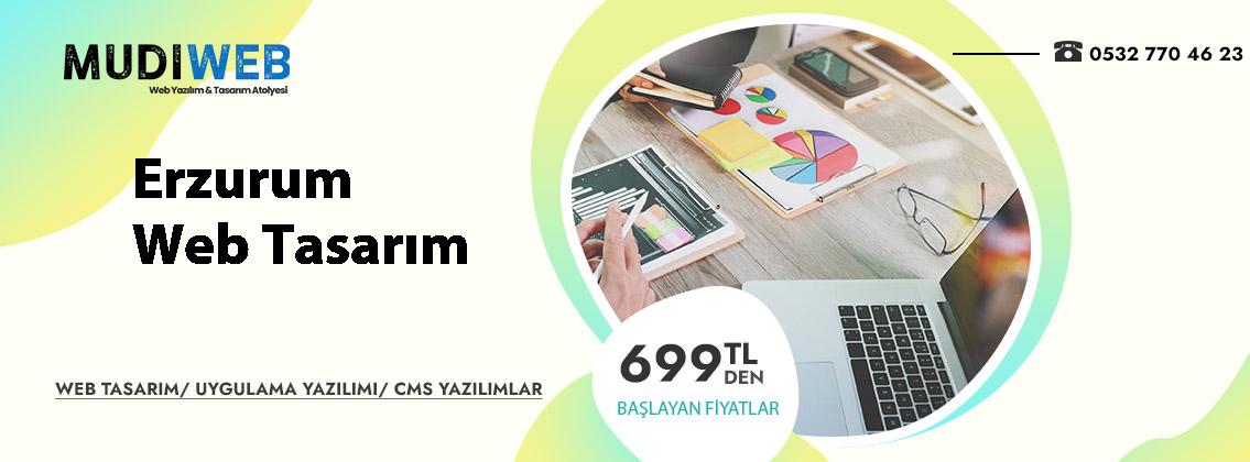 Erzurum  web tasarım fiyatları uygun profesyonel websitesi çözümleri
